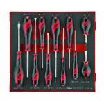 Teng Tools TED911N 11 Piece Screwdriver Set in a Foam Tray - Slotted, Phillips & Pozi