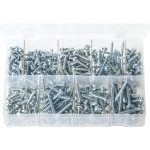 Assorted Self-Tapping Screws Pan Head - Pozi (Large Sizes)